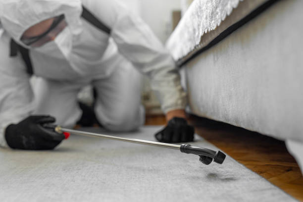Professional Termite Control technician working in Summit Park, UT