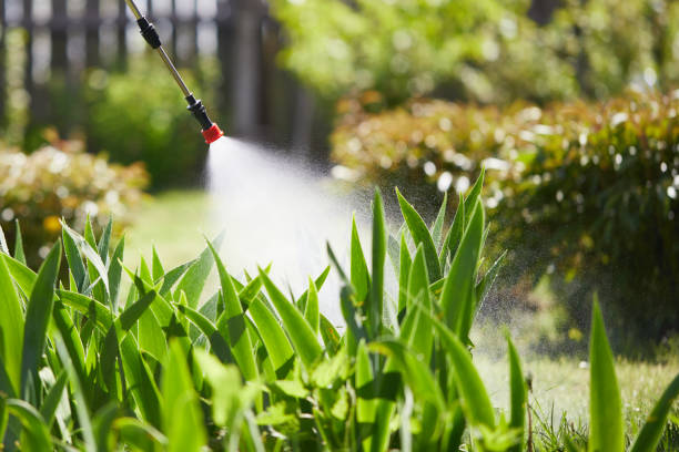 24/7 Emergency Termite Control experts in Summit Park, UT